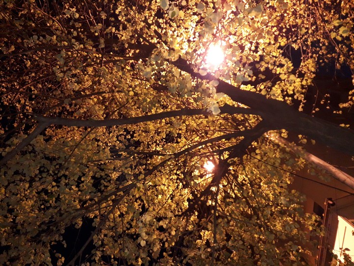 summer night