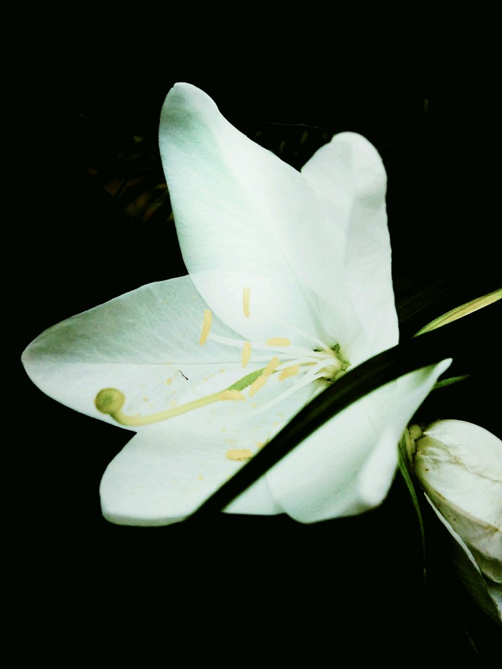 Beauty of solitude