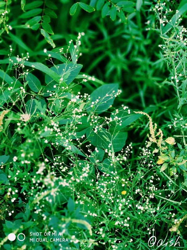 beauty is everywhere