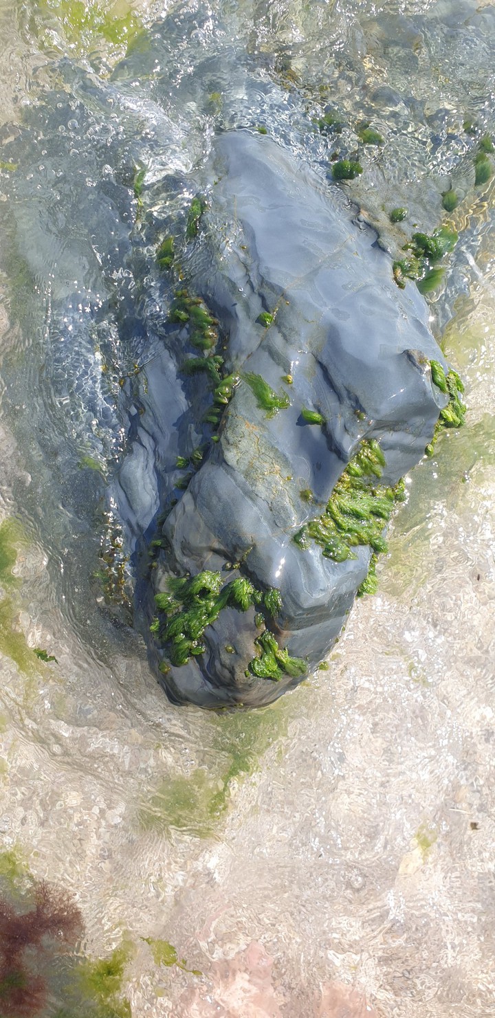 Rock