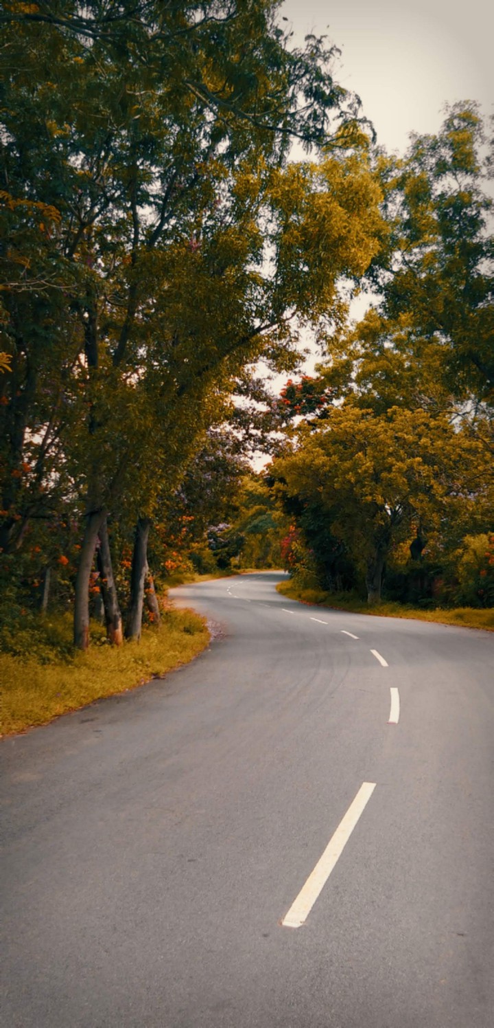 ROAD CURVES