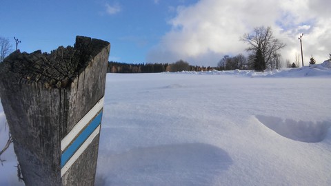 Winter Wonderland