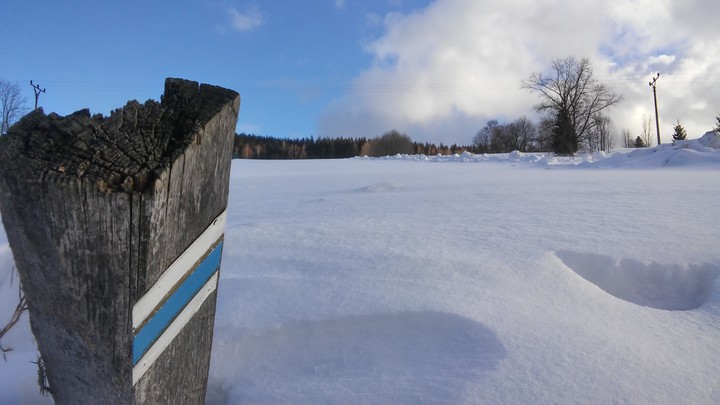 Winter Wonderland