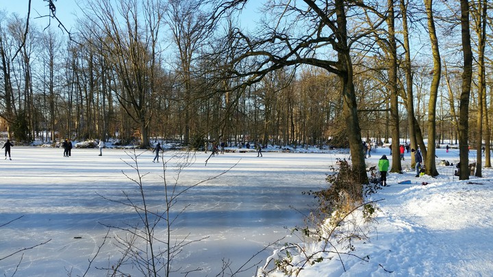 Winter in The Netherlands 2021.