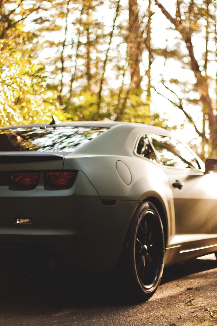 camaro