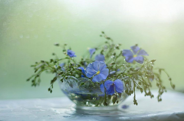 Bouquet