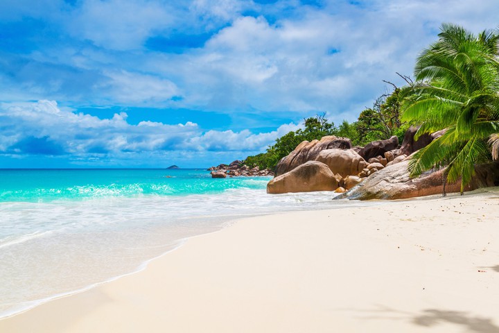 Enjoy Paradies