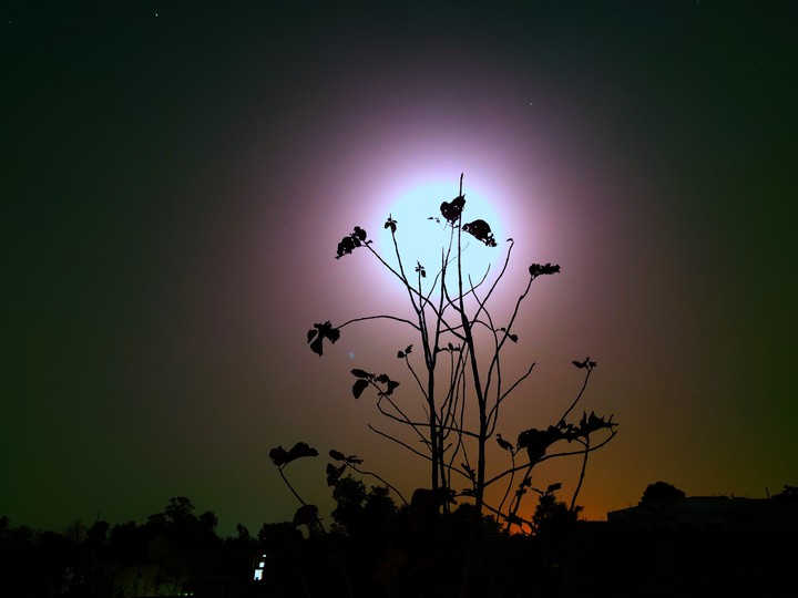 Moonlight