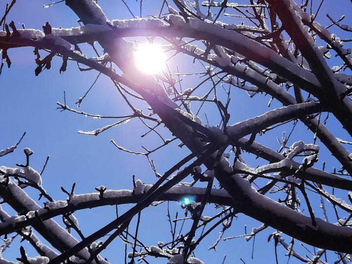 Sun