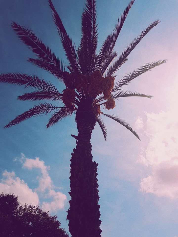 sky