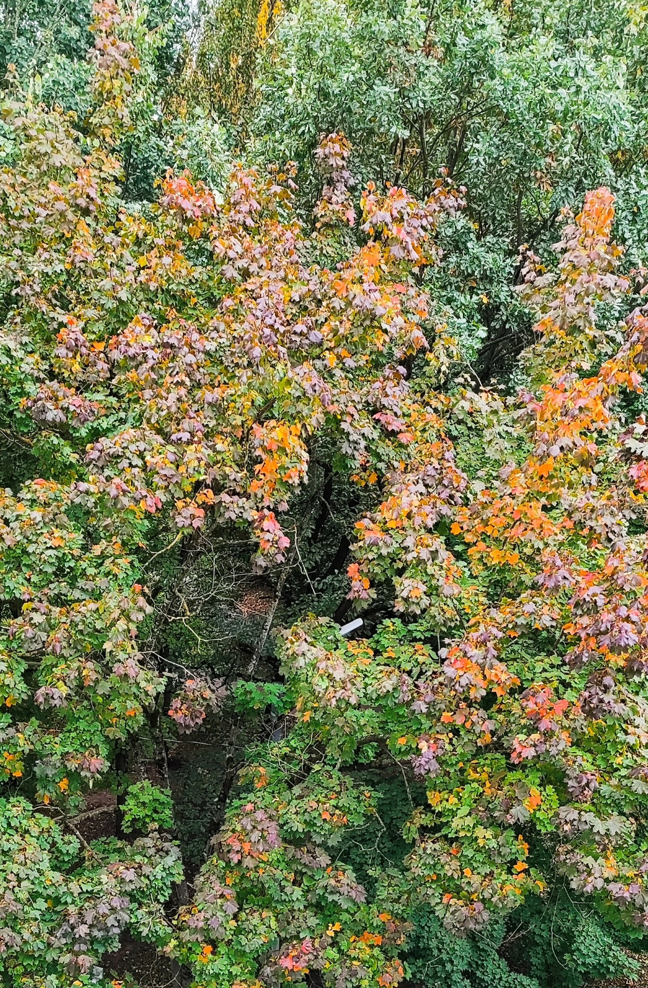 September
