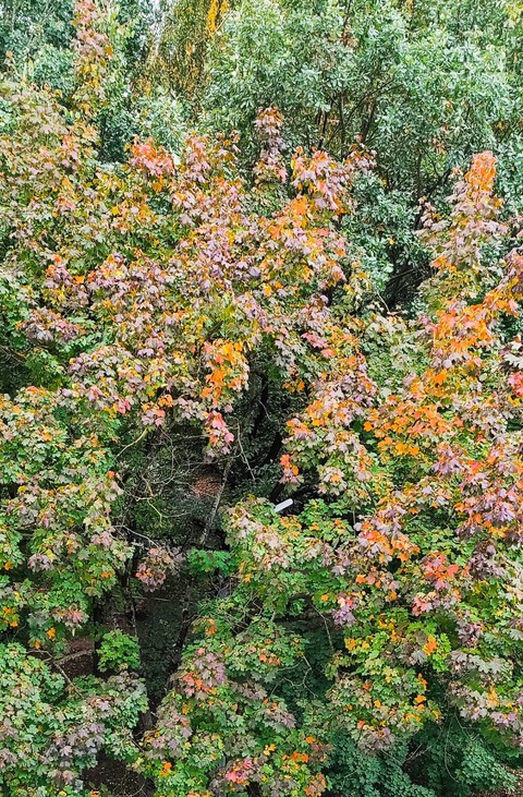 September