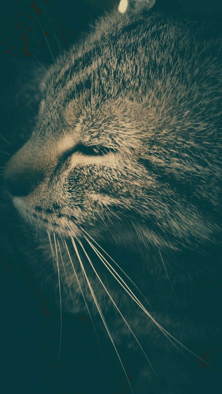 <3