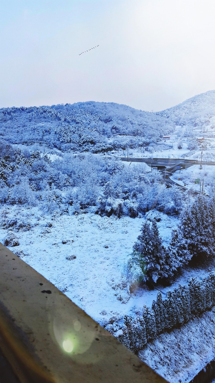 my home
