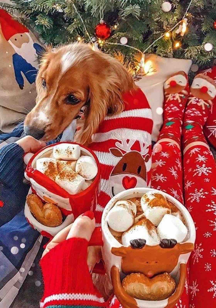 Make yourself cozy and spend more time with your loved ones