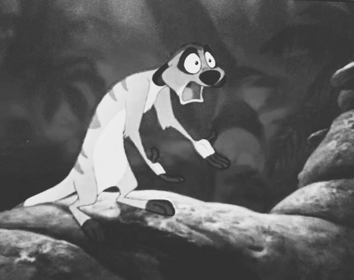 The lion King!!!❤