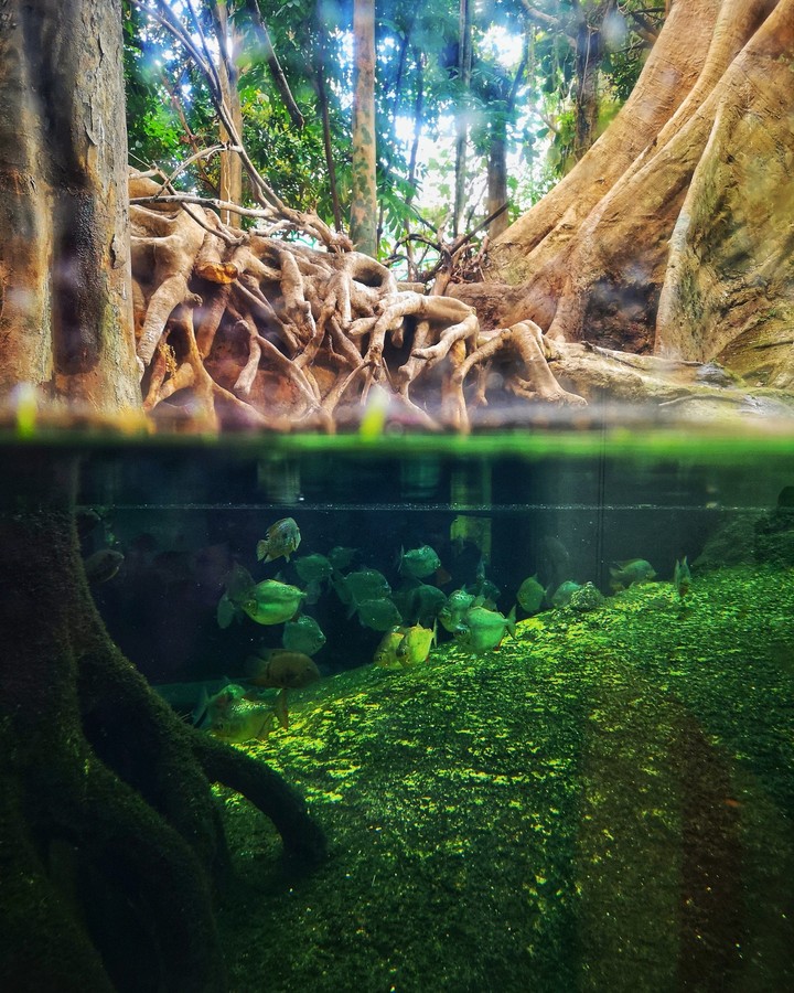two worlds