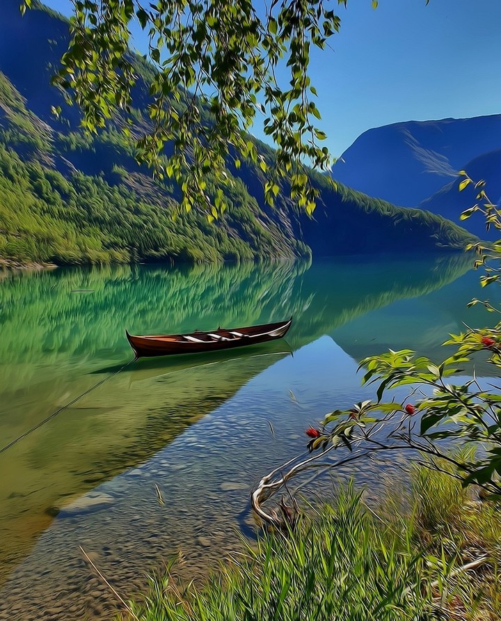 Nature's reflection