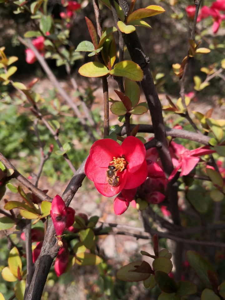 spring is here