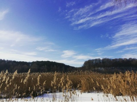 winter