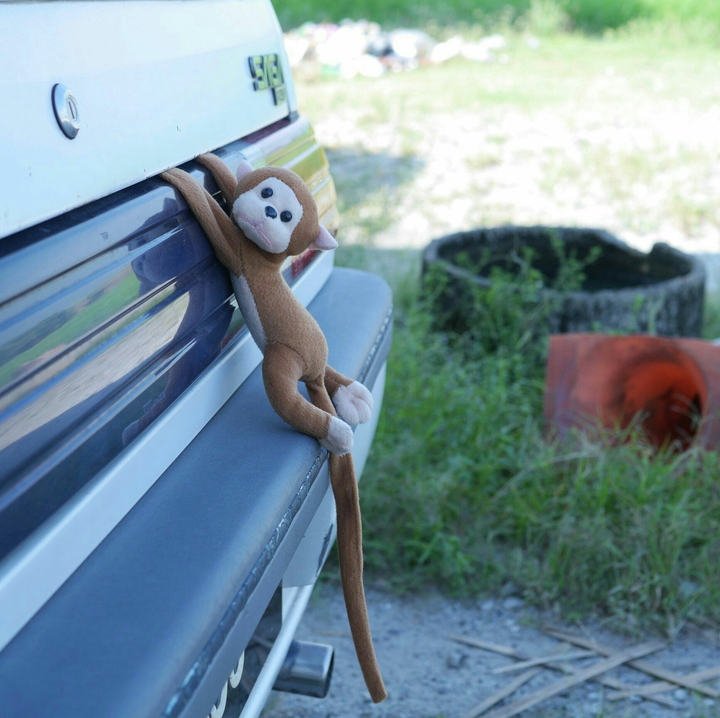 monkey