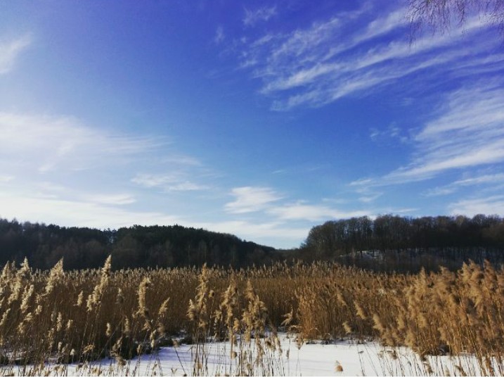 winter