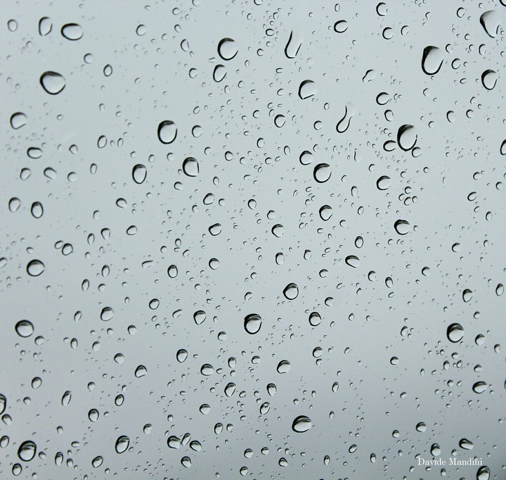 Rugiada