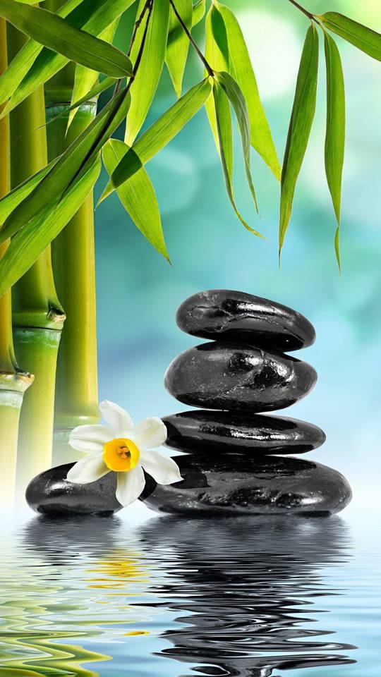 yog