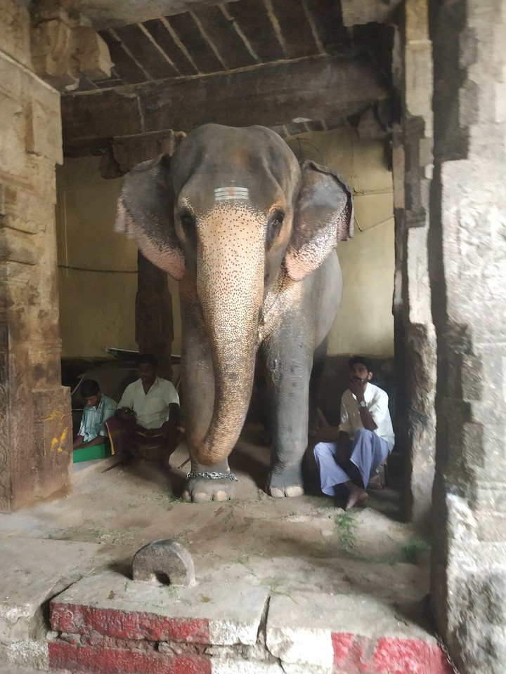 Ganesha