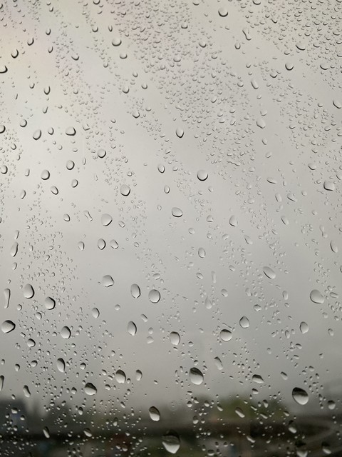 drizzle, moisture wallpapers