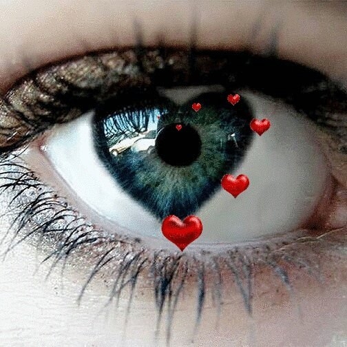 ♡♡♡♡