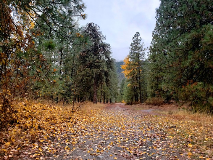 Fall