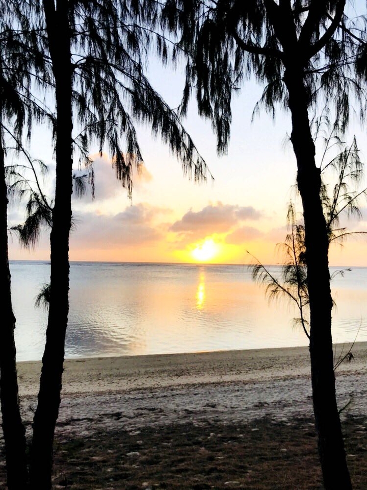 sun sea