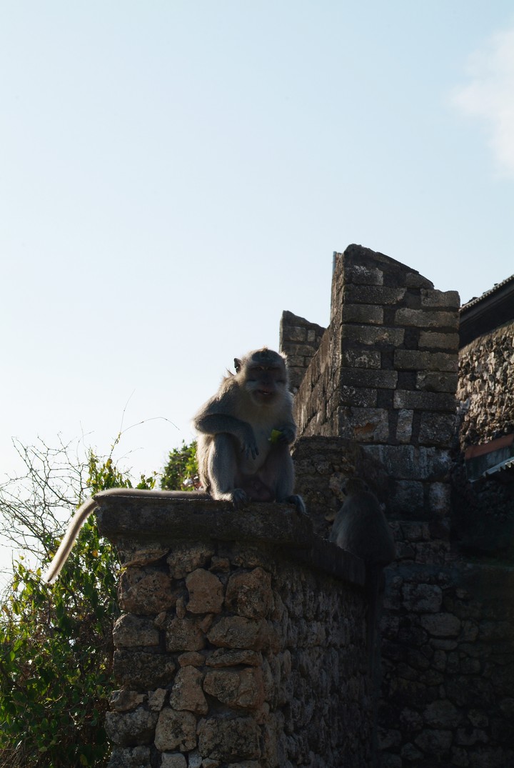 Asia
