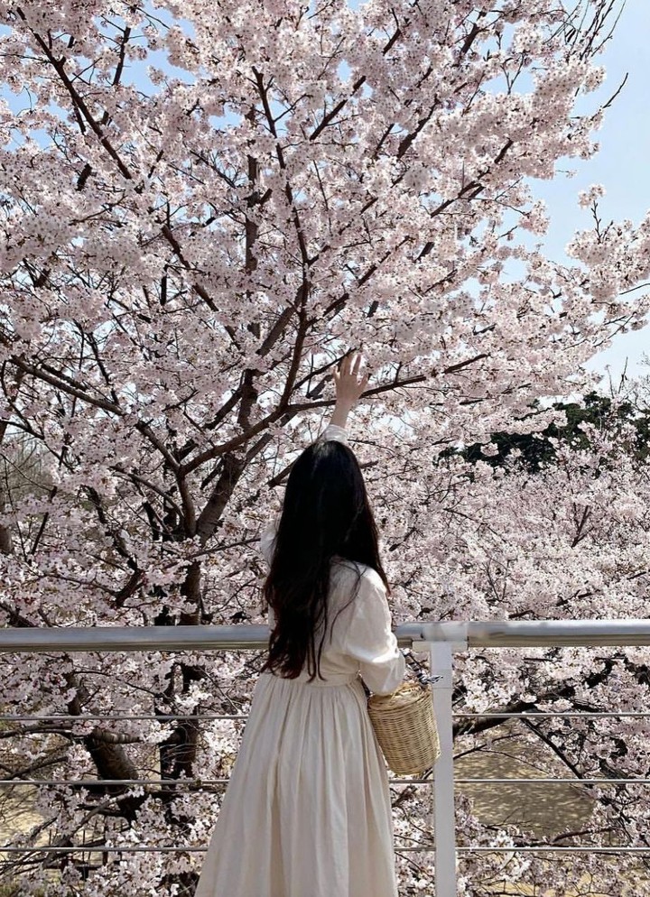 l♡s