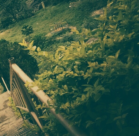 Steps
