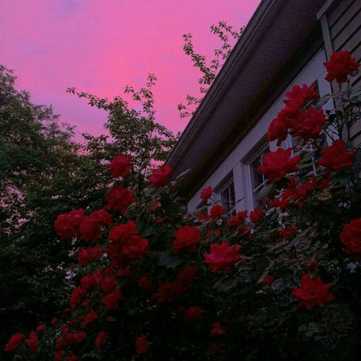 spring♪