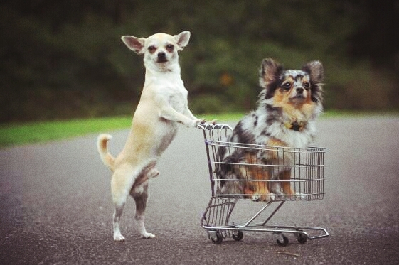 de compras