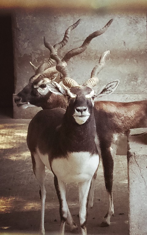 look at me?