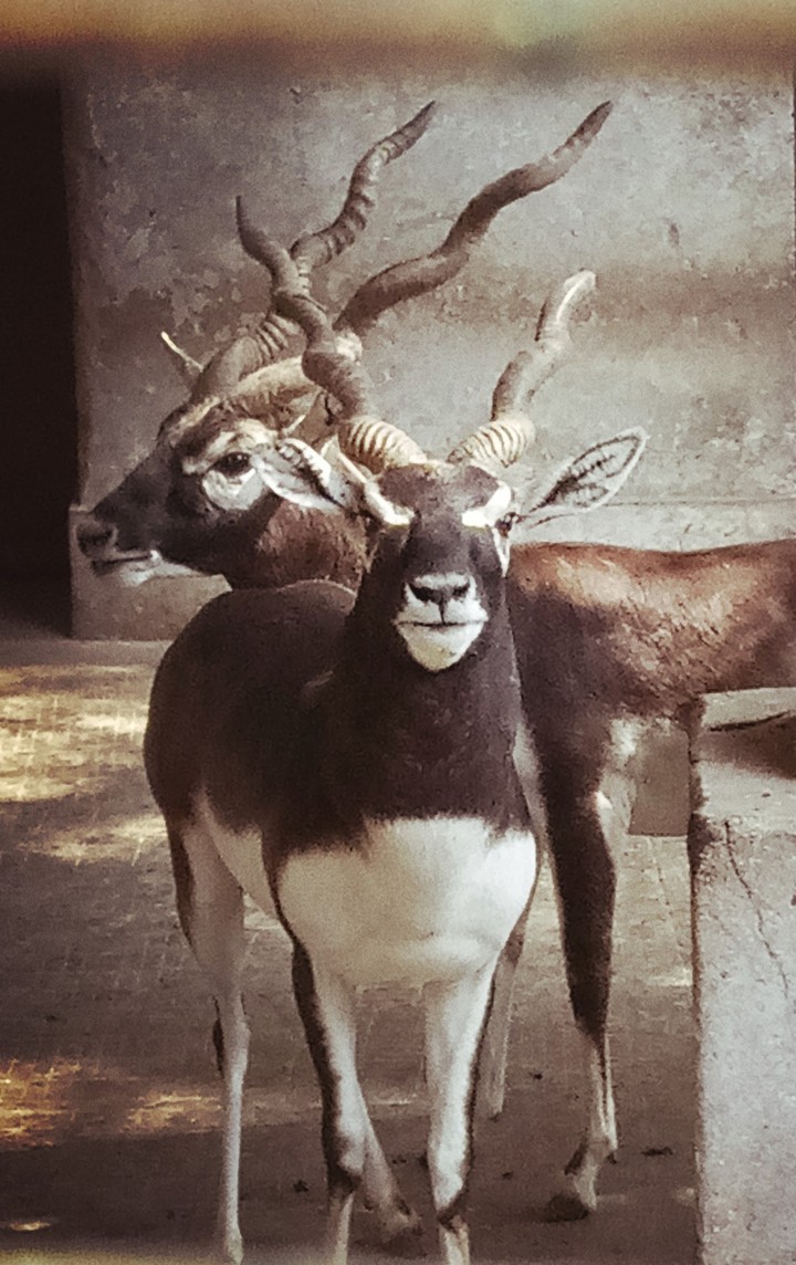 look at me?