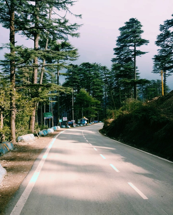 road not taken
