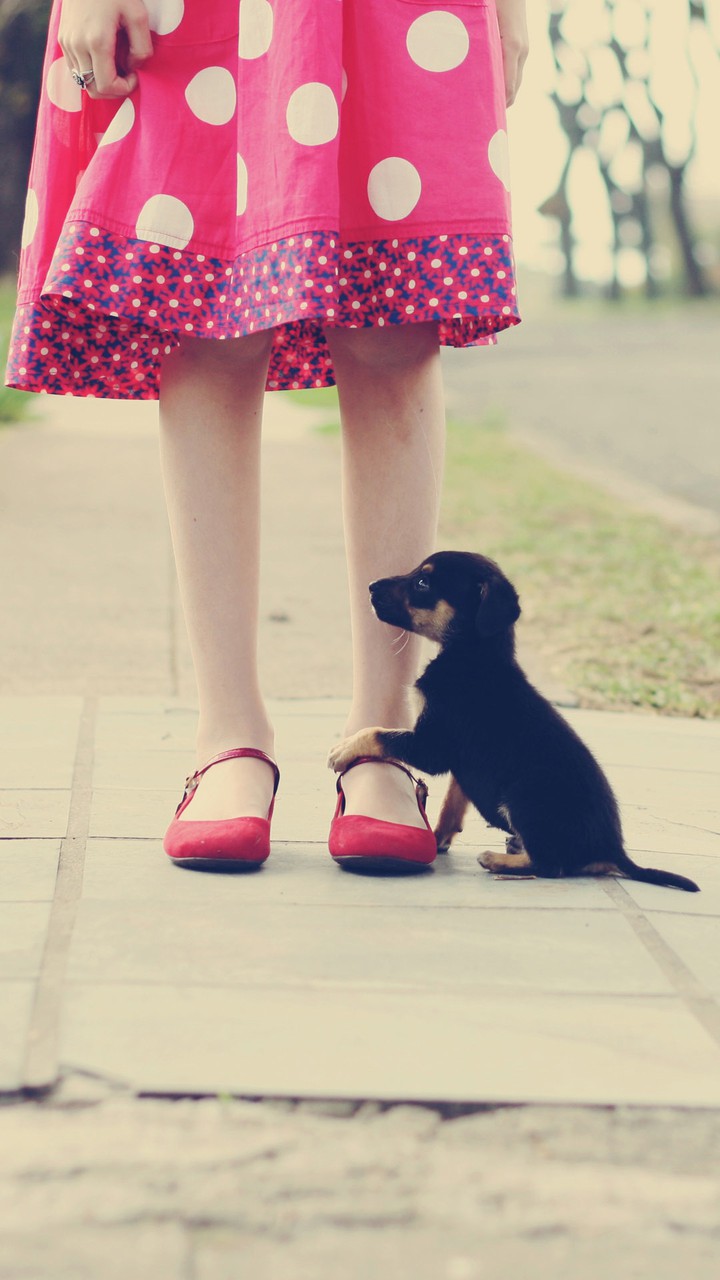 dogie poor