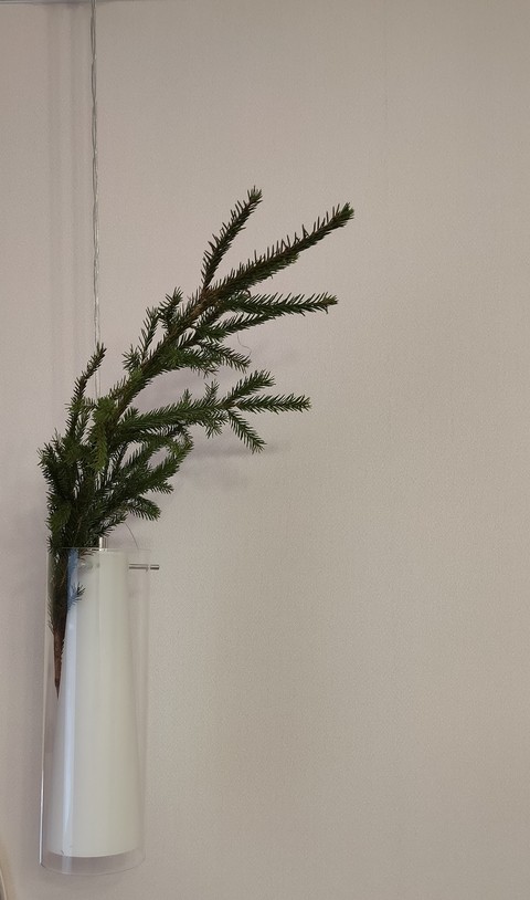 обои twig, flower