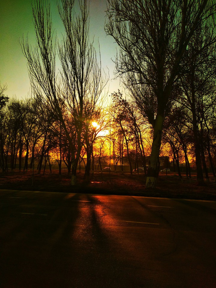 Sun