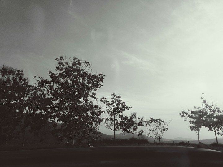 Grey World