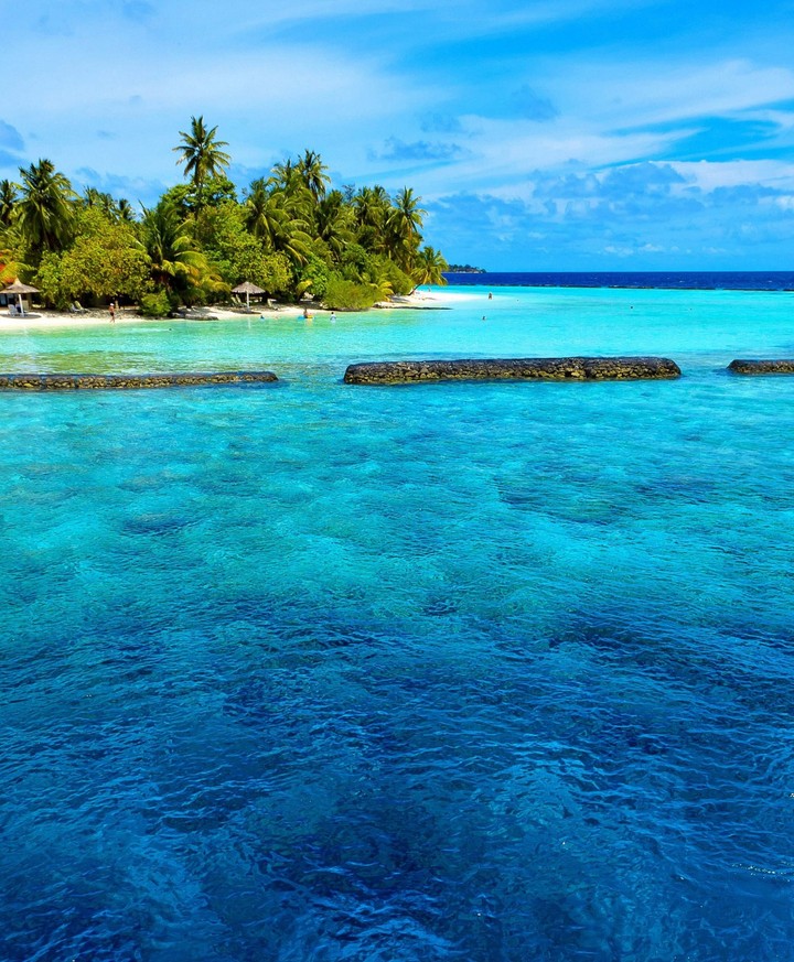 sea