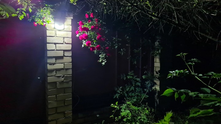 at night?