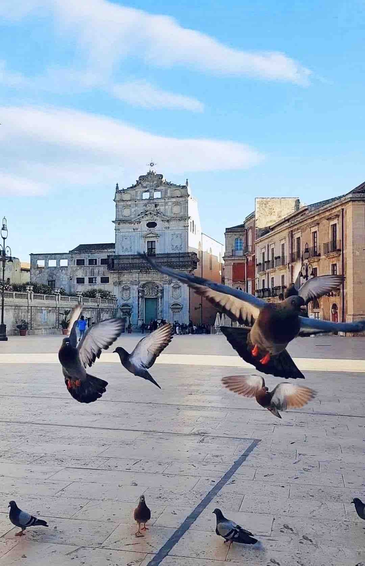 Ortigia