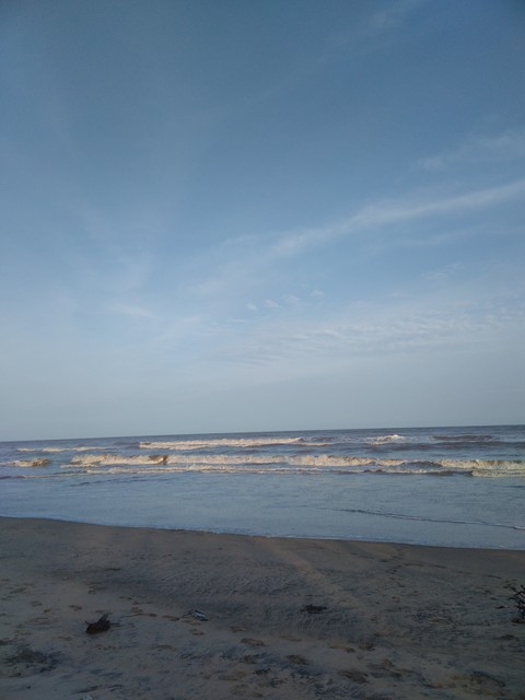 nature