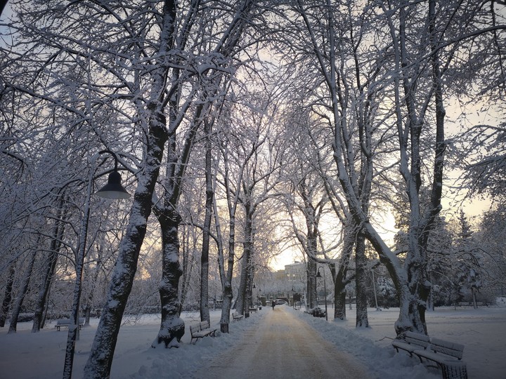 park
